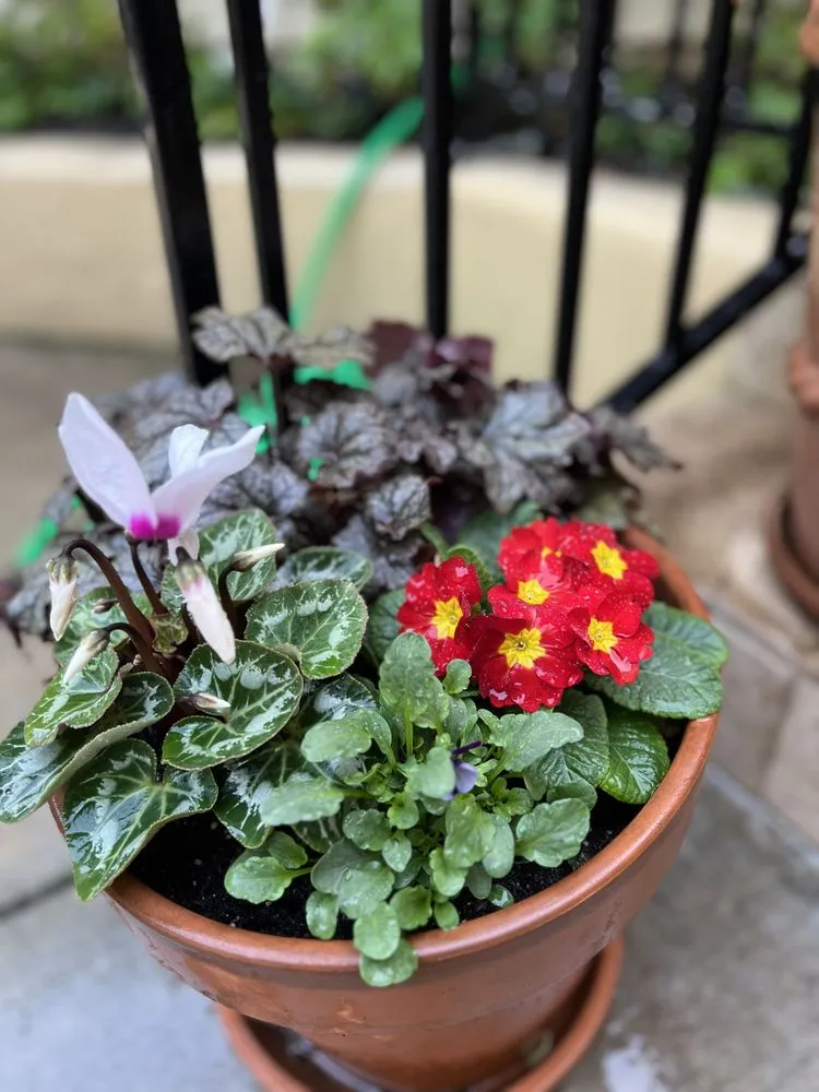 Top-rated landscape design for residential properties in Beverly Hills, CA by Gallo Greens