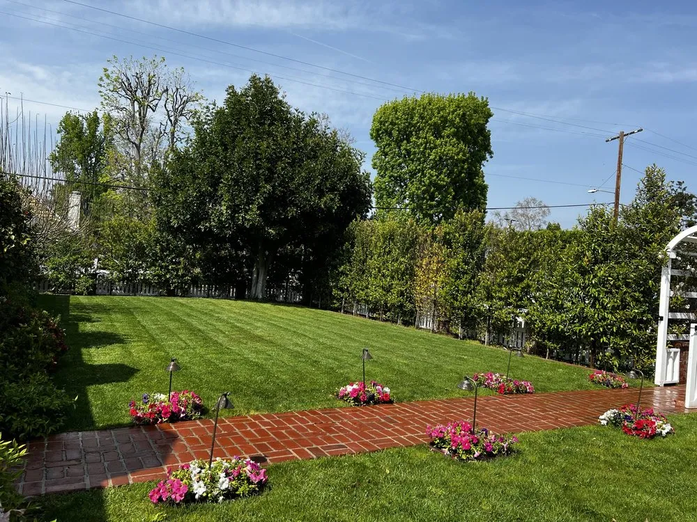 Reliable landscape installation in Beverly Hills, CA - Gallo Greens