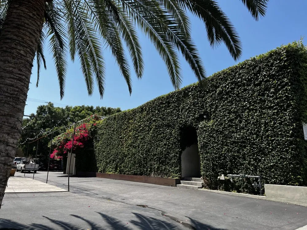 Trusted outdoor landscaping experts serving Beverly Hills, CA - Gallo Greens