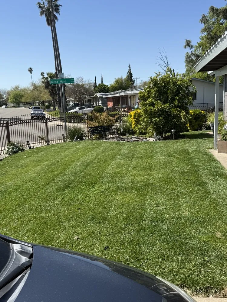 Local lawn care service in Citrus Heights, CA - Gallo Landscapes