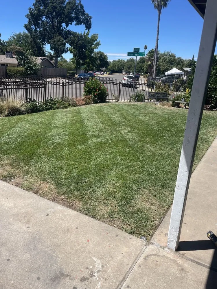 Professional outdoor landscaping for beautiful yards in Citrus Heights, CA by Gallo Landscapes
