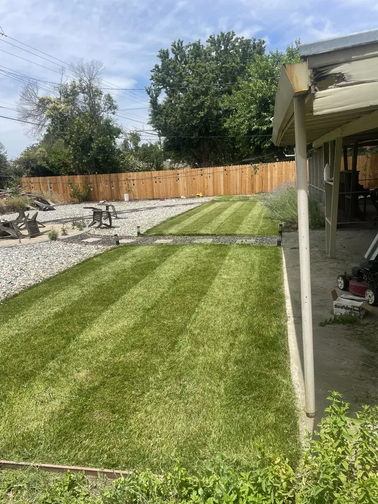 Custom lawn care service for homes across Citrus Heights, CA - Gallo Landscapes