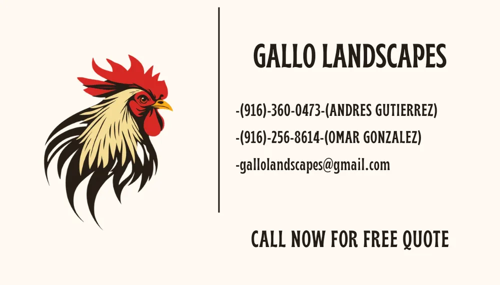 Professional yard cleanup service with custom design across Citrus Heights, CA - Gallo Landscapes