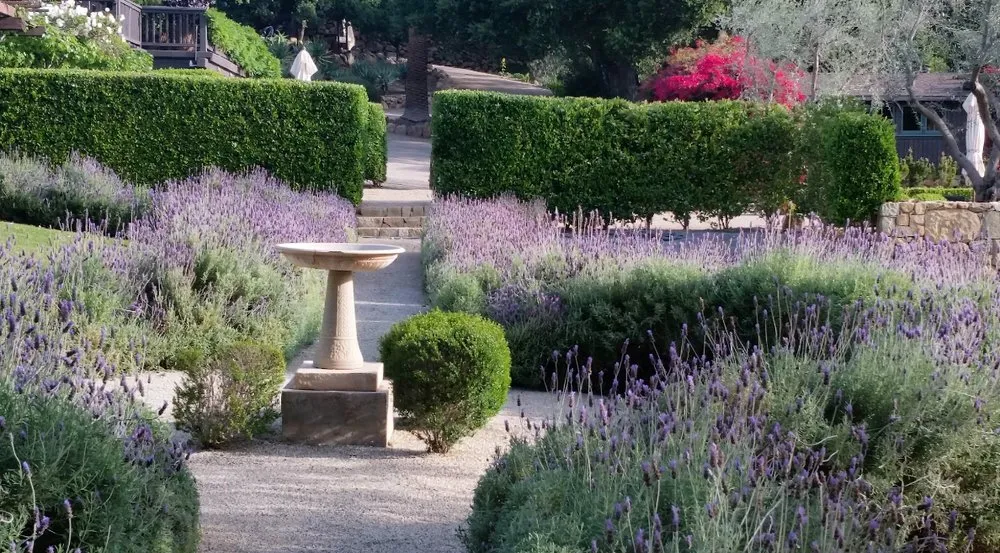 Affordable landscaping services in Santa Clarita, CA by Galloway Landscape & Design