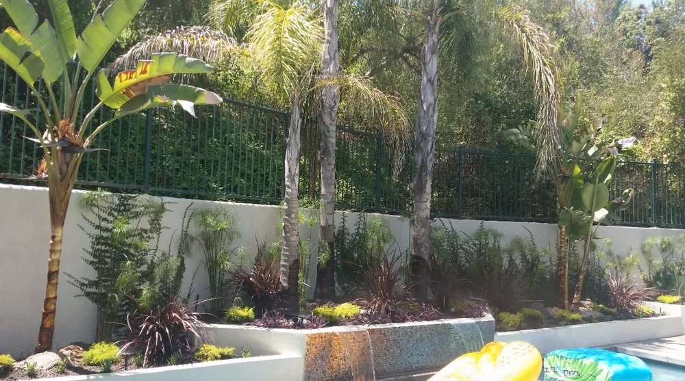 Reliable lawn mowing service in Santa Clarita, CA by Galloway Landscape & Design