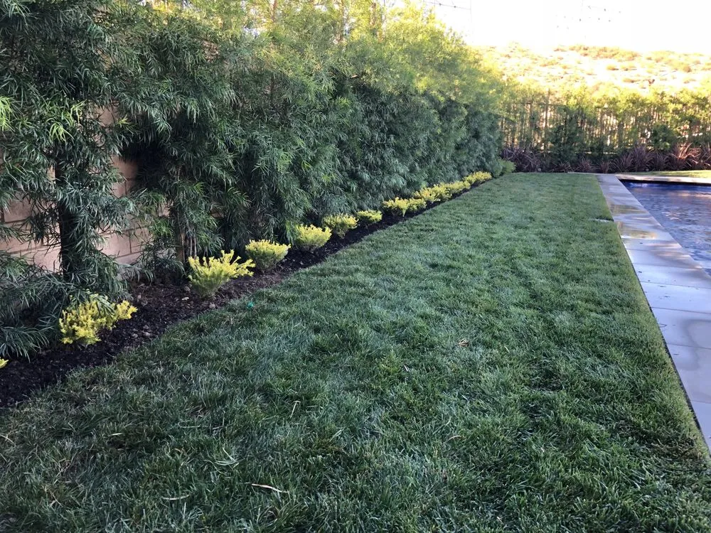 Affordable lawn care service in Santa Clarita, CA by Galloway Landscape & Design