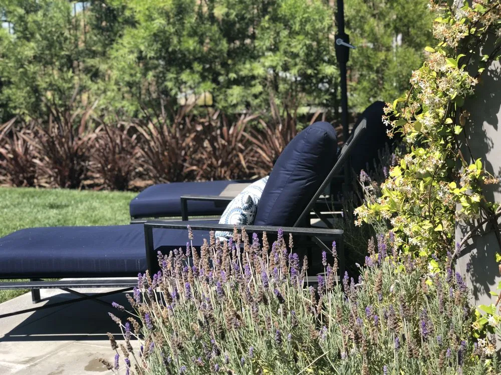 Affordable landscape installation for outdoor upgrades in Santa Clarita, CA by Galloway Landscape & Design