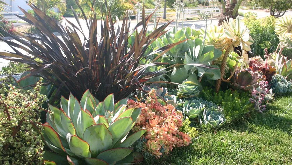Reliable yard cleanup service experts serving Santa Clarita, CA - Galloway Landscape & Design