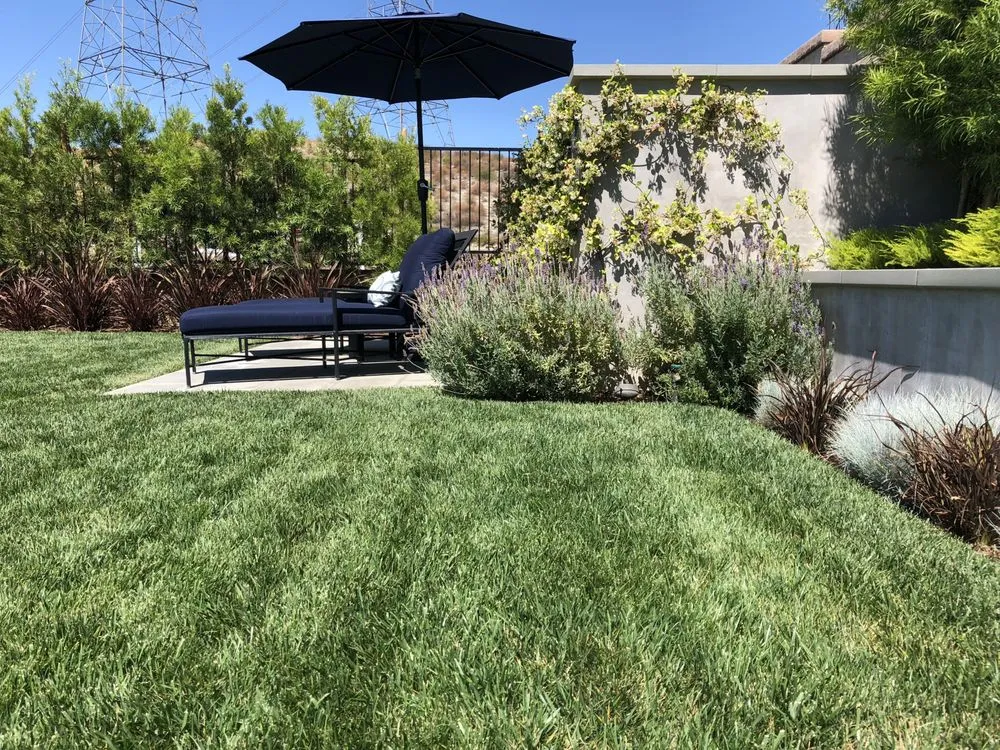 Reliable landscaping services for residential properties in Santa Clarita, CA by Galloway Landscape & Design