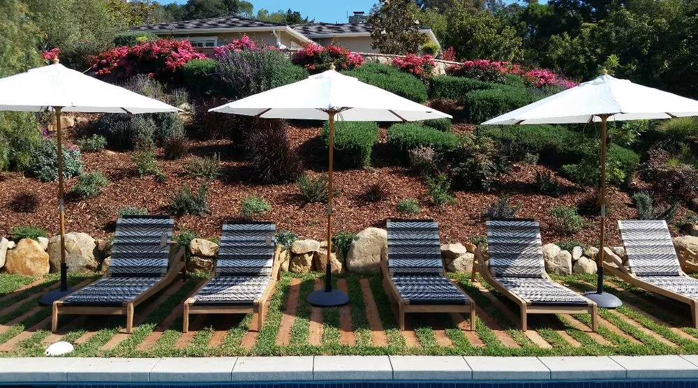 Local yard cleanup service experts serving Santa Clarita, CA - Galloway Landscape & Design