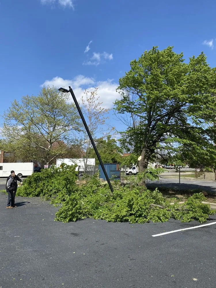 Expert yard maintenance for residential properties across Baltimore, MD - Galloway Landscapes