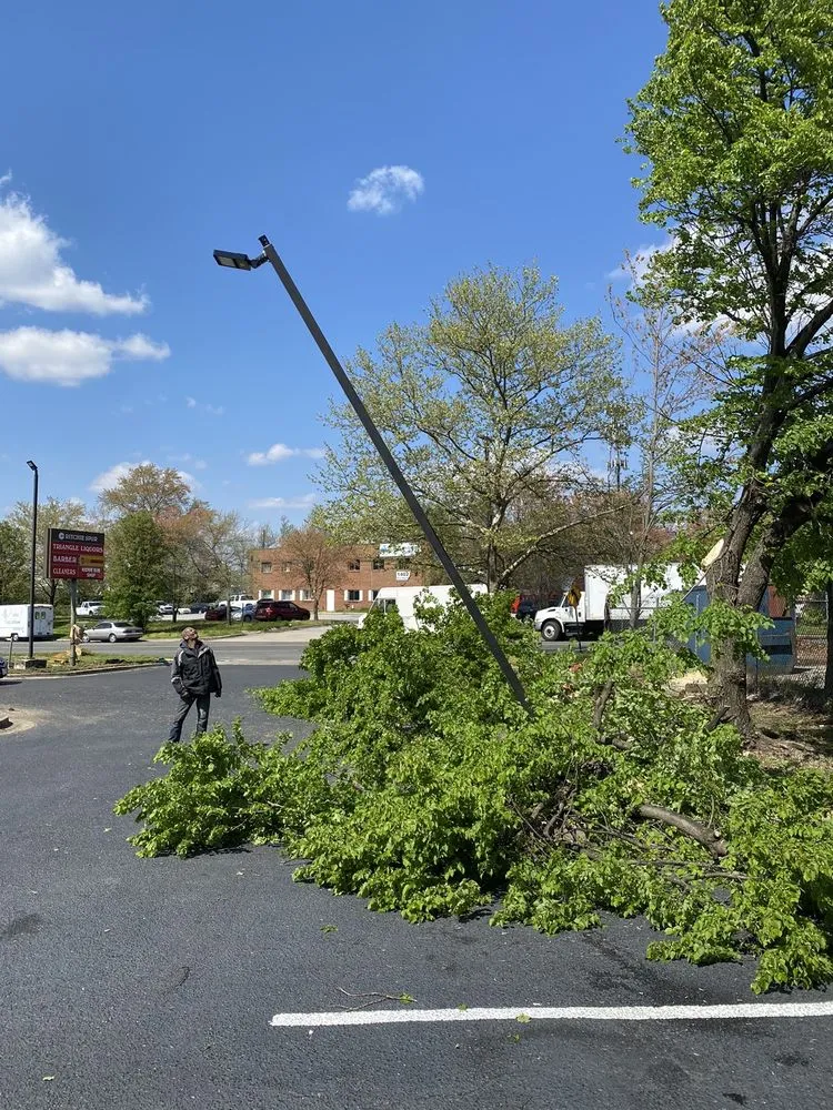 Trusted landscape installation for year-round maintenance in Baltimore, MD by Galloway Landscapes