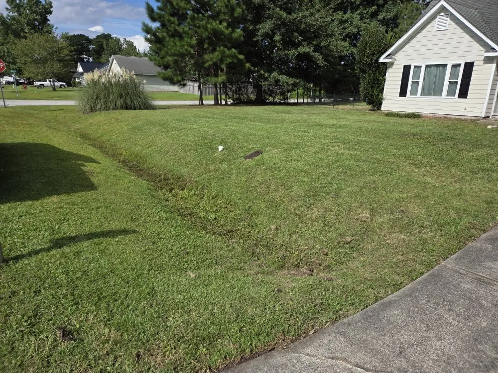 Expert yard cleanup service near you in Jacksonville, FL by Galloway Lawn And Landscape