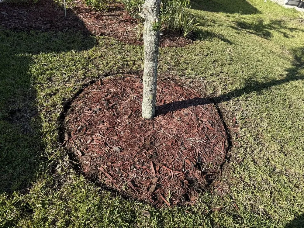 Local landscape design with custom design in Jacksonville, FL by Galloway Lawn And Landscape