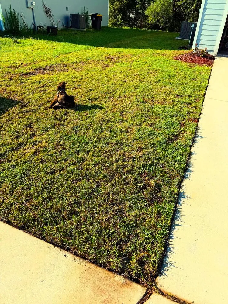 Expert outdoor landscaping for outdoor upgrades across Jacksonville, FL - Galloway Lawn And Landscape