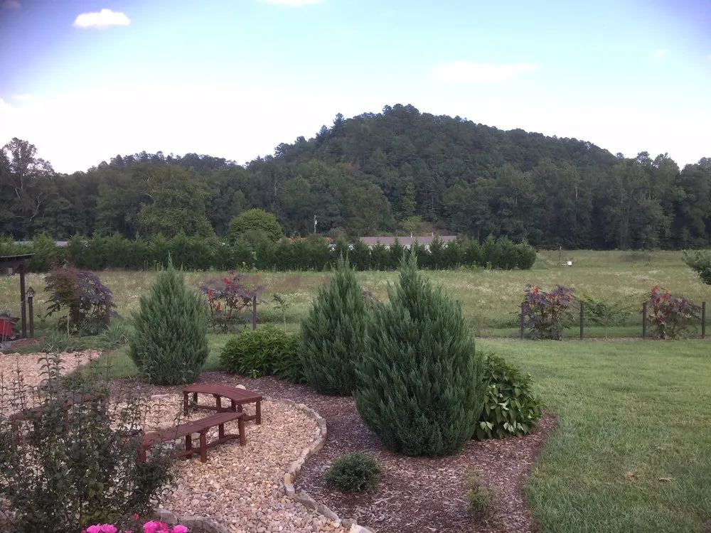 Local landscape design for residential properties in Brevard, NC by Galloway Lawn and Landscaping