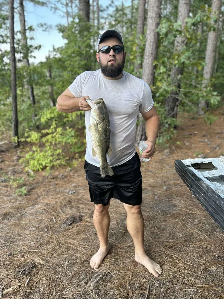 Professional residential landscaping experts serving Aberdeen, NC - Galloways Grow Care