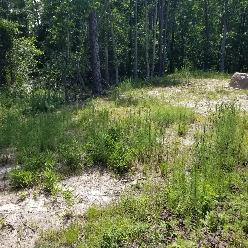 Top-rated yard maintenance experts serving Aberdeen, NC - Galloways Grow Care