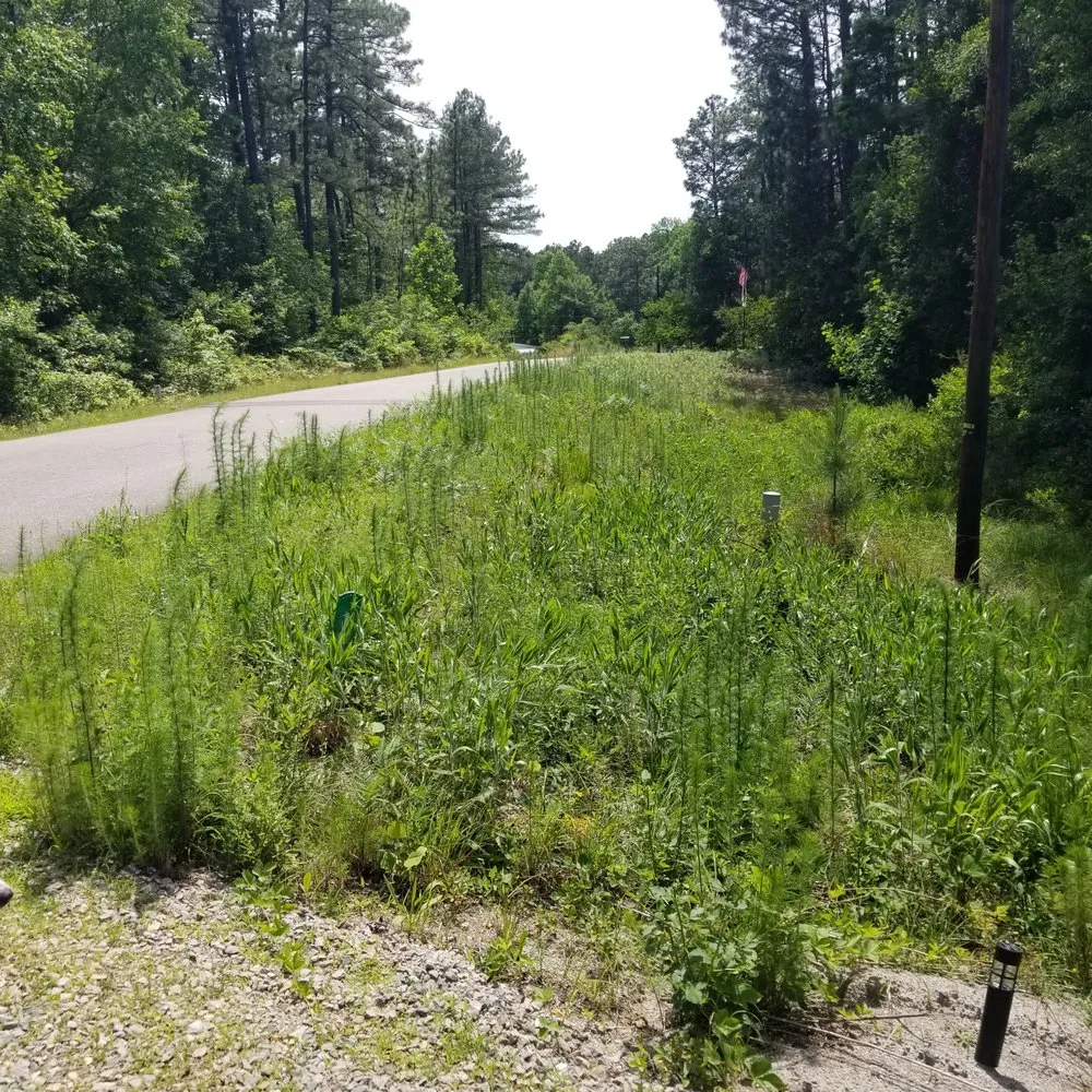 Professional lawn mowing service experts serving Aberdeen, NC - Galloways Grow Care