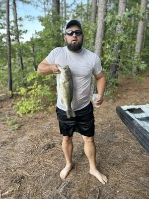 Galloways Grow Care Logo