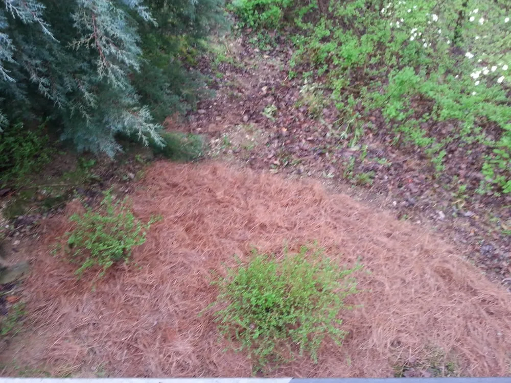 Top-rated yard maintenance in Chattanooga, TN - Galloway's Lawn Service