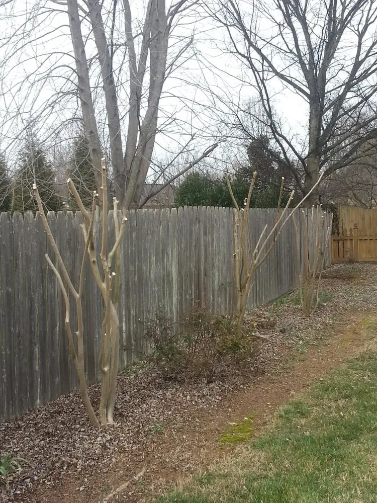 Affordable residential landscaping in Chattanooga, TN by Galloway's Lawn Service