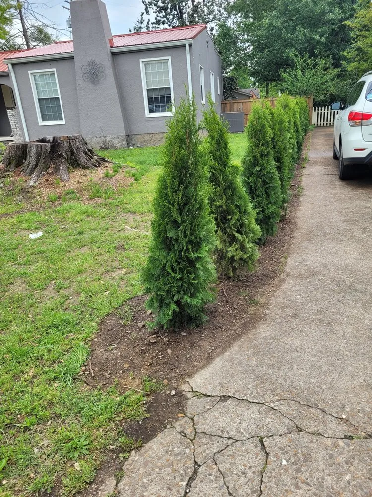 Expert landscape installation in Chattanooga, TN - Galloway's Lawn Service