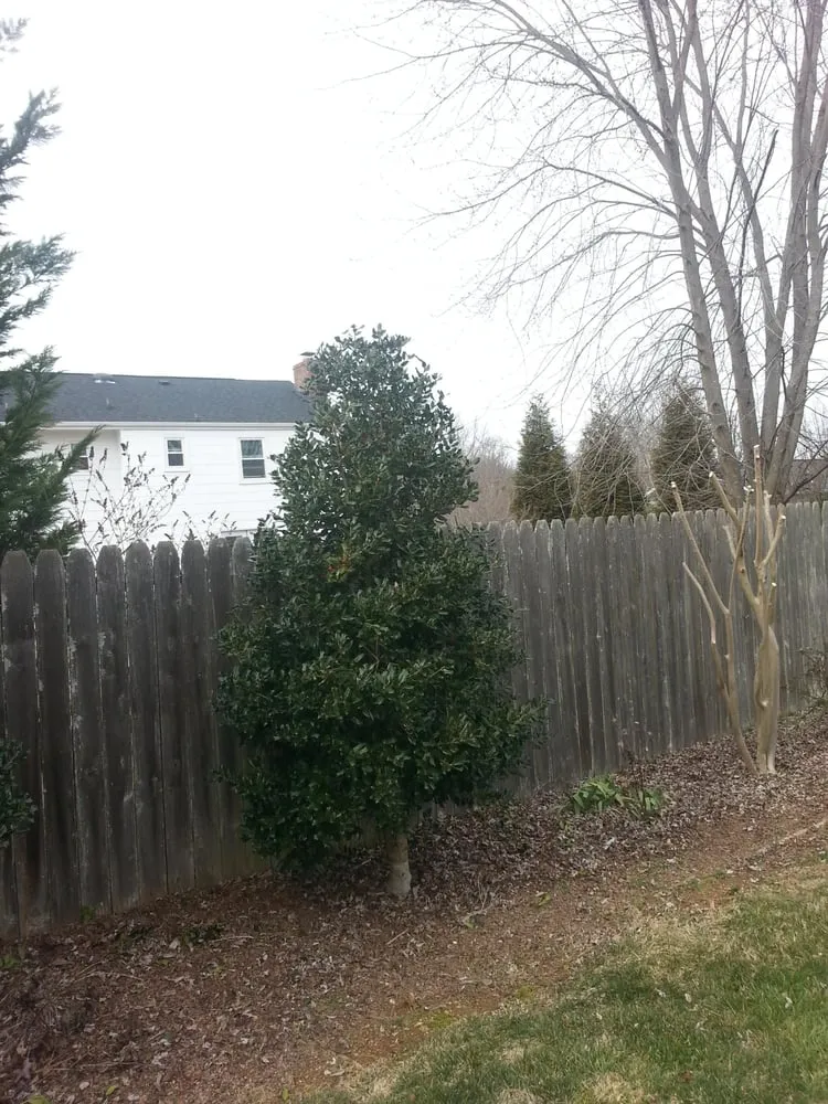 Top-rated lawn care service experts serving Chattanooga, TN - Galloway's Lawn Service