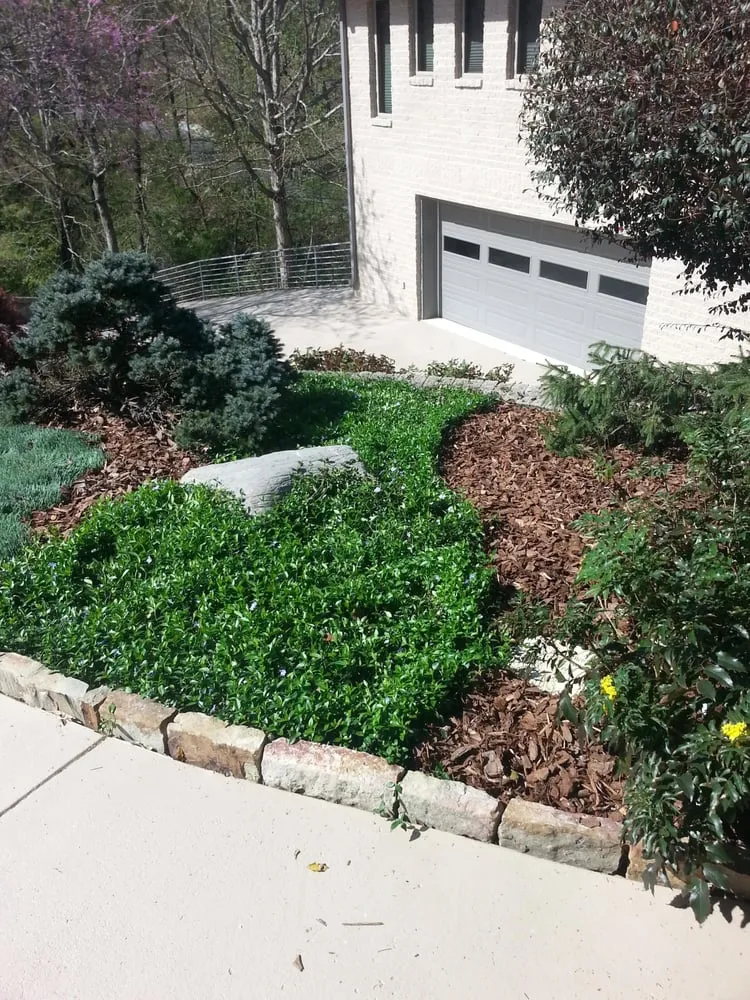 Expert yard cleanup service in Chattanooga, TN - Galloway's Lawn Service