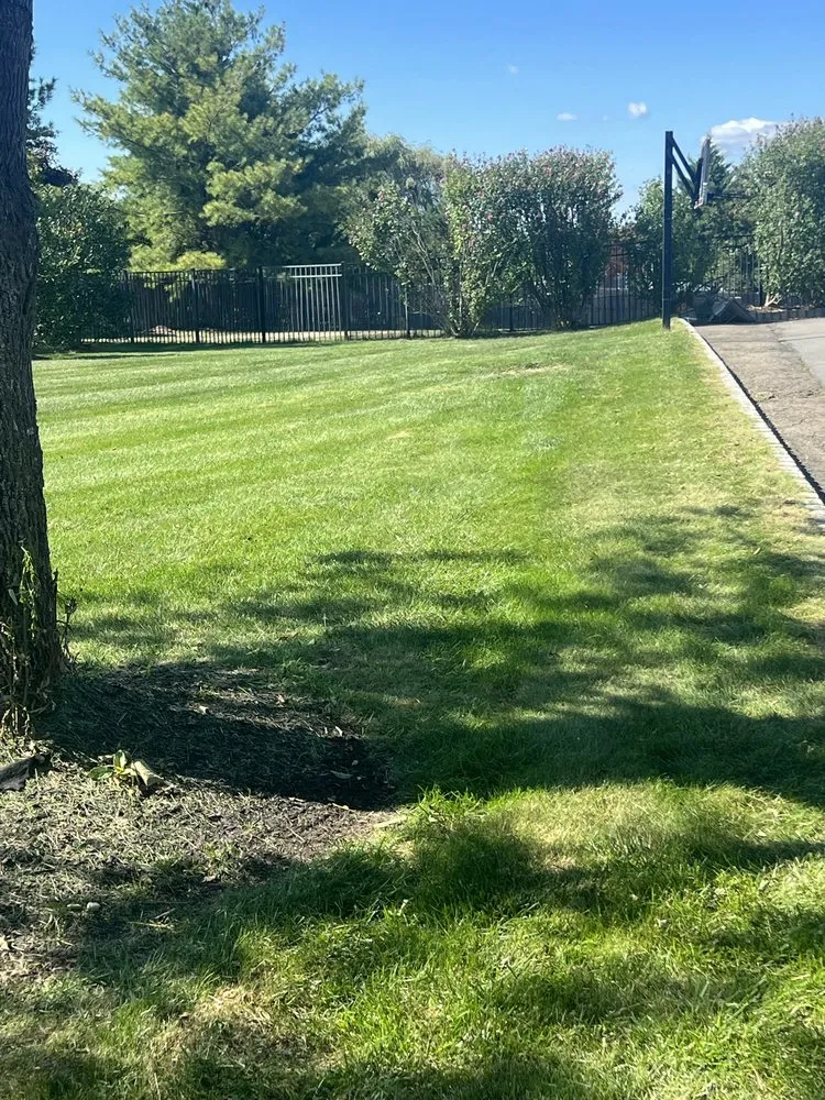 Top-rated yard maintenance for homes in Trenton, NJ by Galore Landscape