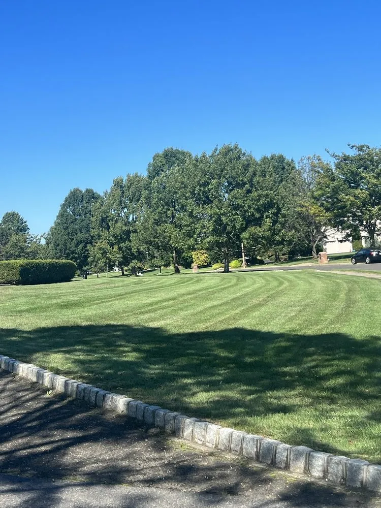 Top-rated landscape design for year-round maintenance across Trenton, NJ - Galore Landscape