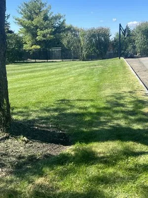 Galore Landscape Logo