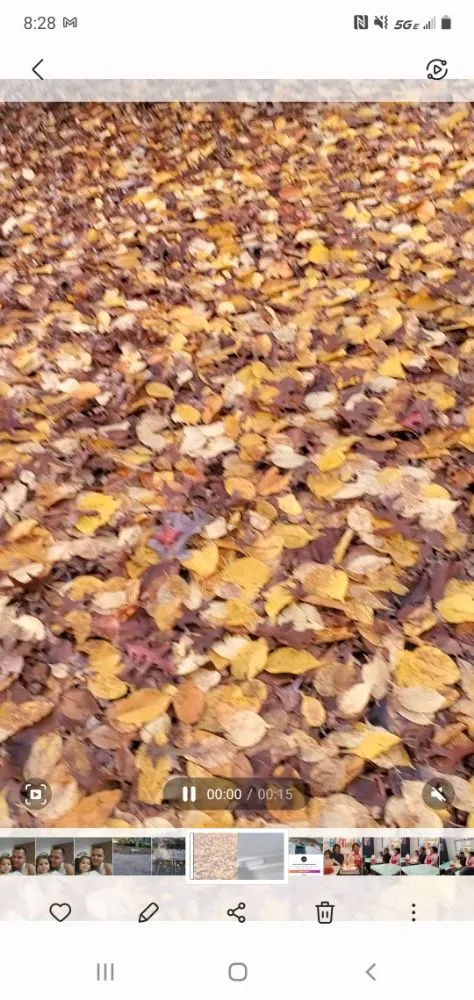 Local residential landscaping experts serving Alexandria, VA - Galo's Lawn Care Service