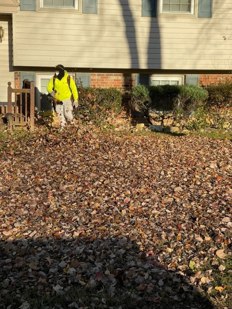 Expert yard cleanup service with custom design in Alexandria, VA by Galo's Lawn Care Service