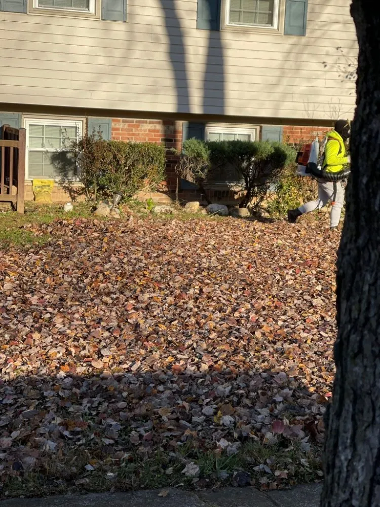 Reliable landscape design for year-round maintenance across Alexandria, VA - Galo's Lawn Care Service