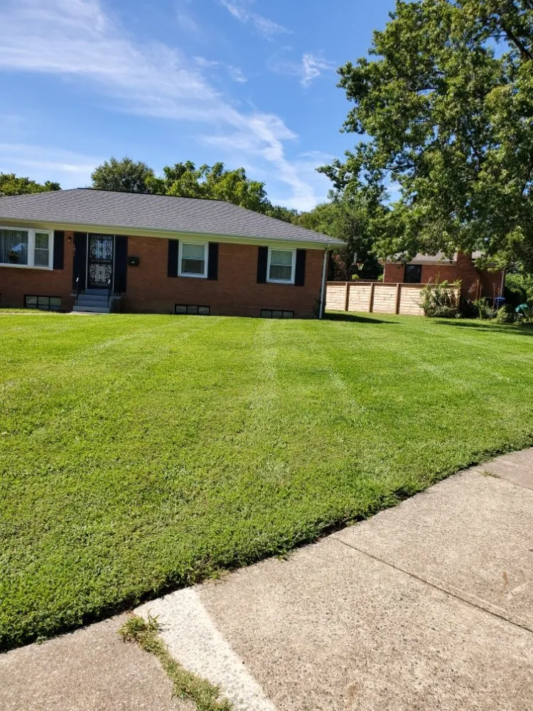 Trusted yard cleanup service for year-round maintenance across Alexandria, VA - Galo's Lawn Care Service