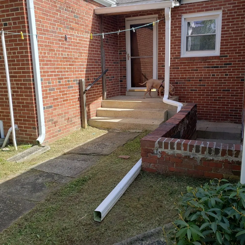 Local lawn care service experts serving Alexandria, VA - Galo's Lawn Care Service