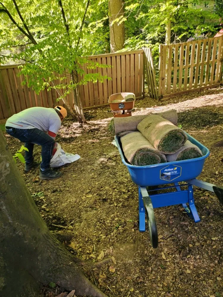 Top-rated outdoor landscaping with custom design across Alexandria, VA - Galo's Lawn Care Service
