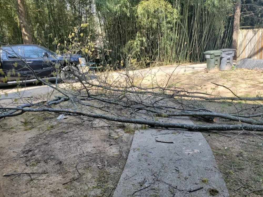 Top-rated lawn mowing service with custom design in Alexandria, VA by Galo's Lawn Care Service