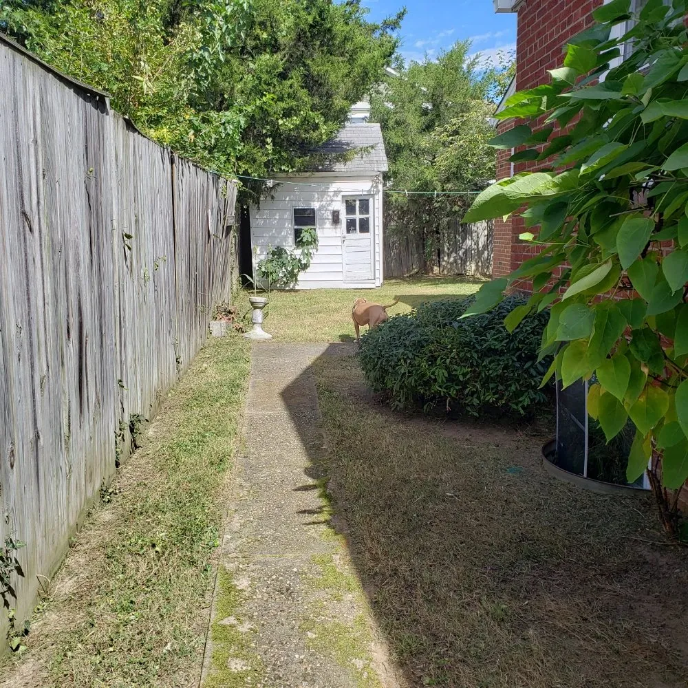 Custom lawn mowing service experts serving Alexandria, VA - Galo's Lawn Care Service