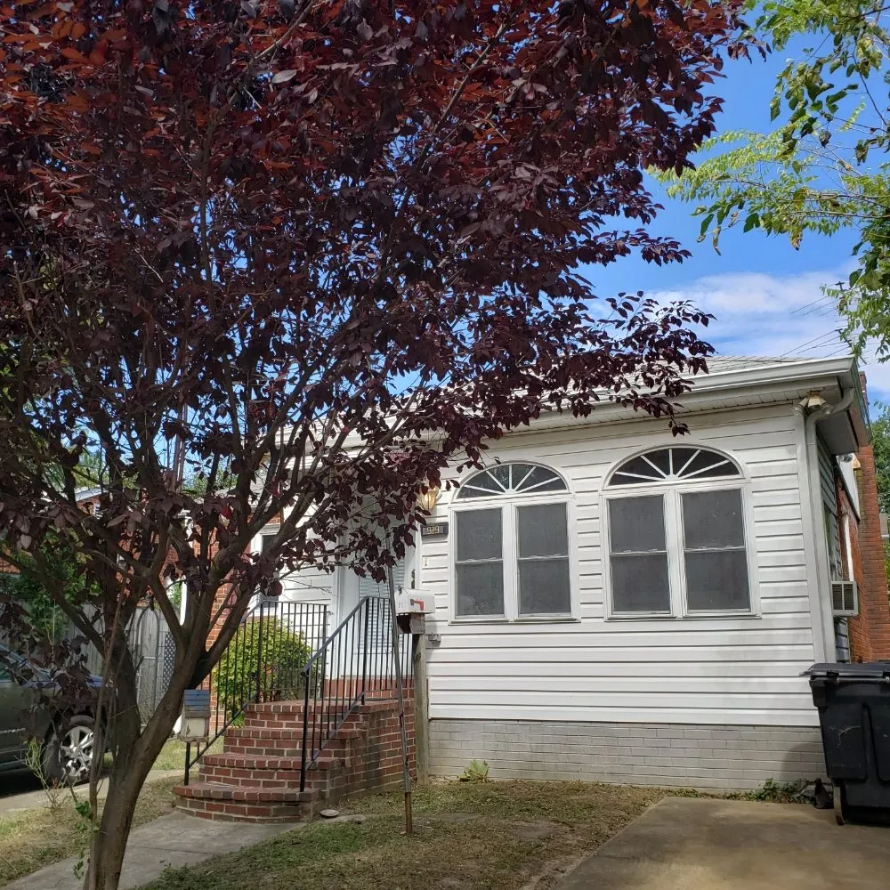 Reliable yard maintenance in Alexandria, VA by Galo's Lawn Care Service