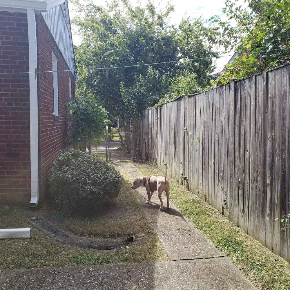 Trusted landscape design in Alexandria, VA by Galo's Lawn Care Service