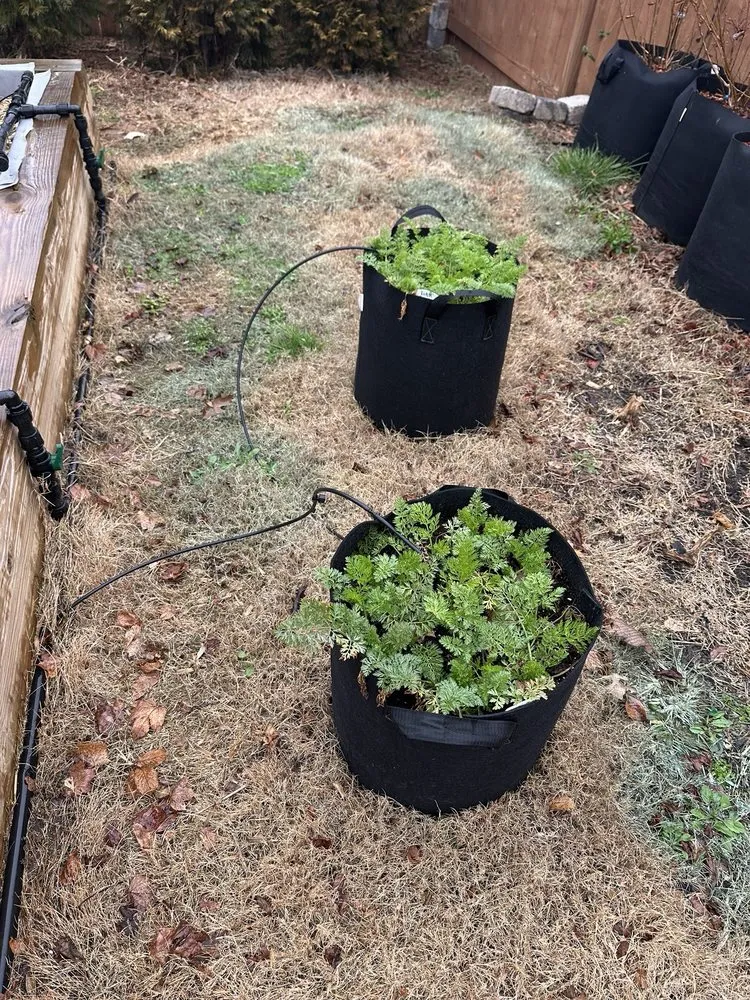 Expert landscape installation experts serving Canton, GA - GALT Landscape Company