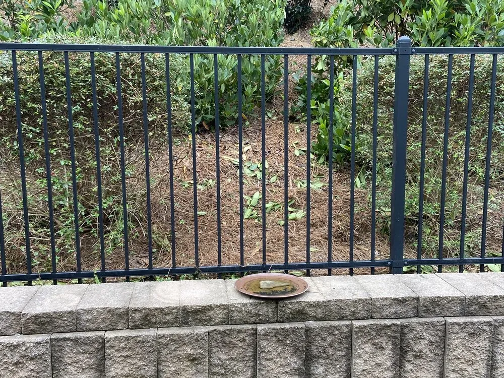 Top-rated yard maintenance in Canton, GA - GALT Landscape Company