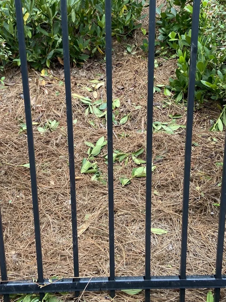 Reliable landscaping services for homes across Canton, GA - GALT Landscape Company