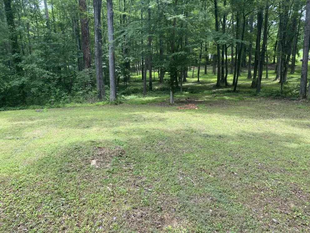 Expert landscape design experts serving Hillsborough, NC - Galvan’s Landscape