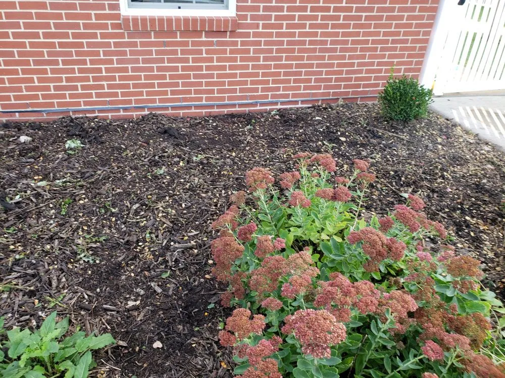 Trusted lawn mowing service for year-round maintenance in Aurora, IL by Galvan's Landscaping