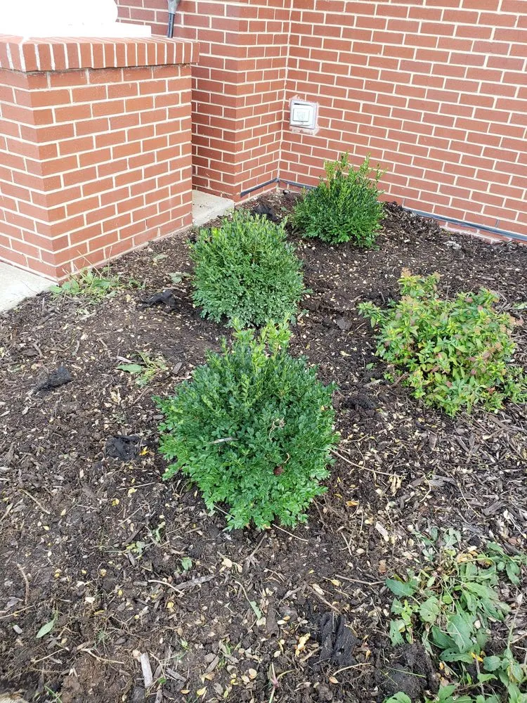 Local landscape design in Aurora, IL - Galvan's Landscaping