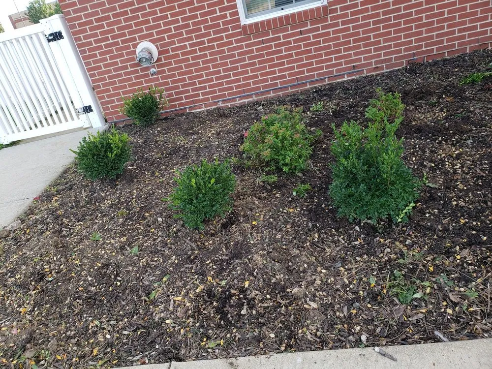 Custom landscape installation with custom design across Aurora, IL - Galvan's Landscaping