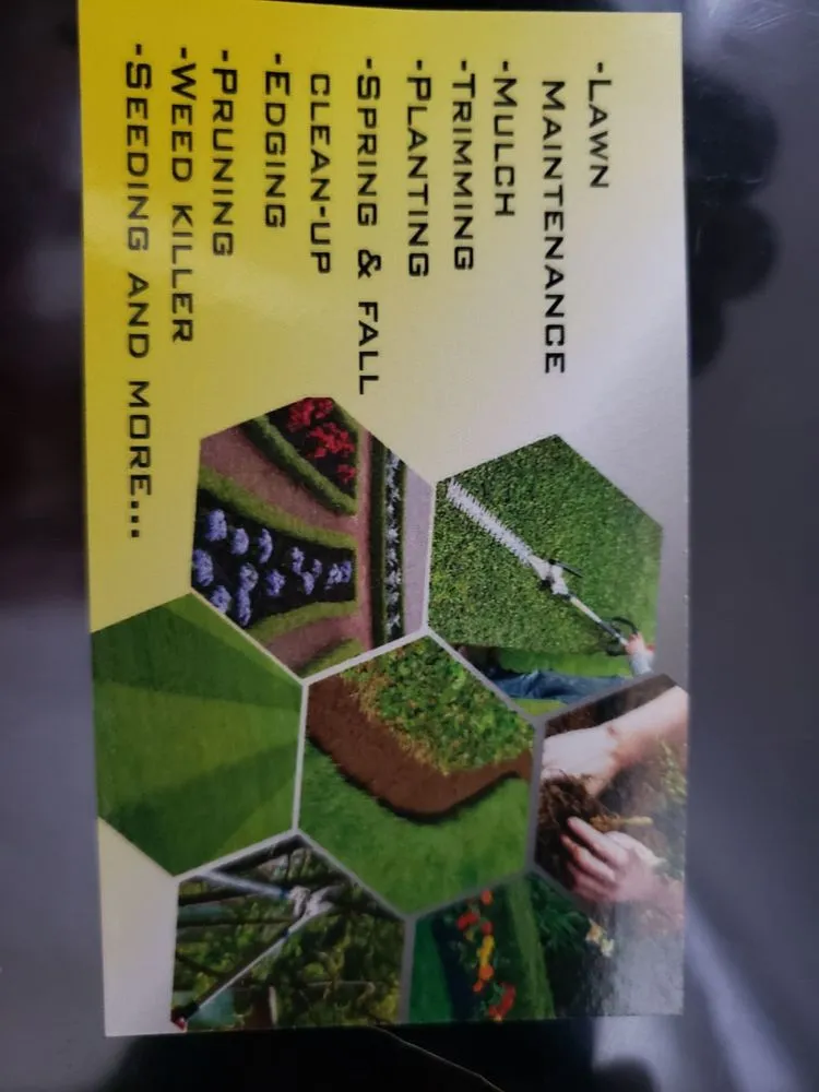 Top-rated yard cleanup service for year-round maintenance in Aurora, IL by Galvan's Landscaping